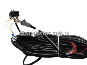 ���� �������� 