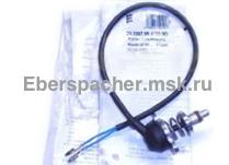 ������ ��������� � �������������� �������