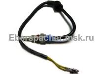 ������ ����������� � �������������� �������