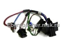 ������� ����������� � ��������� D4Ws(251920, 2082)