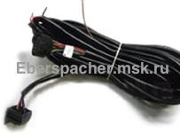 ���� �������� ��������