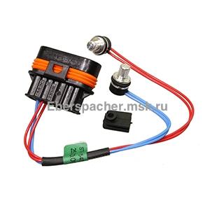 ������� ����������� � ������� � �������� ��������