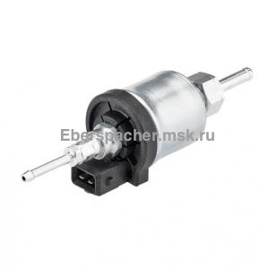 ��������� ����� 24� �������� �