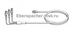 ���� ��������