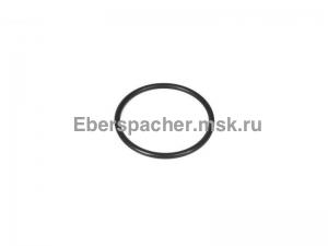 ������ o-ring 74x3 (�������� 4/5)