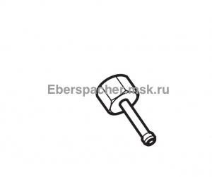 �������� ������ ������