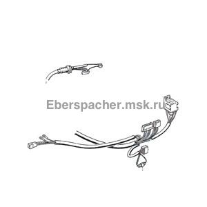 �������� ���� �������� 2�