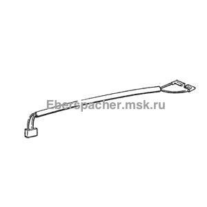 ���� �������� � ������� ���������