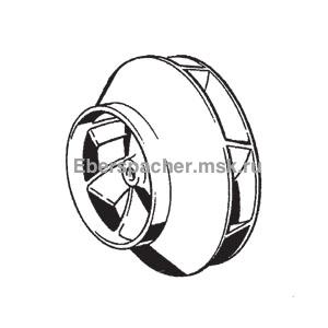 ���������� ���������� �����������