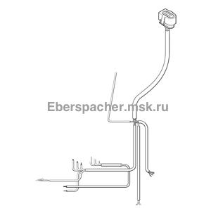 ���� ��������