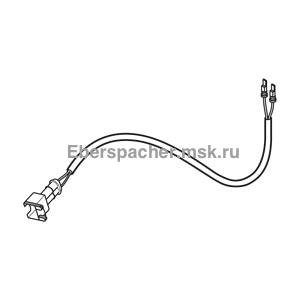 ���� ���������� ������