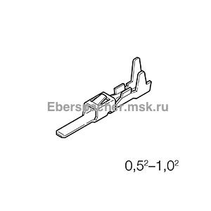 ���� ��� �������